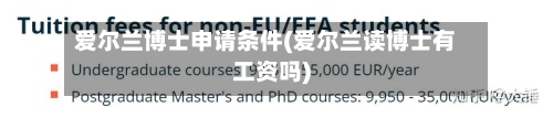 爱尔兰博士申请条件(爱尔兰读博士有工资吗)