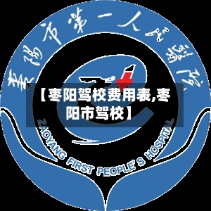 【枣阳驾校费用表,枣阳市驾校】