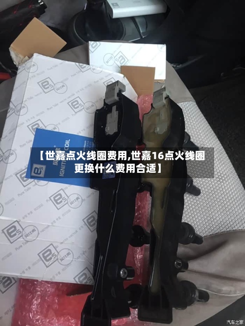 【世嘉点火线圈费用,世嘉16点火线圈更换什么费用合适】