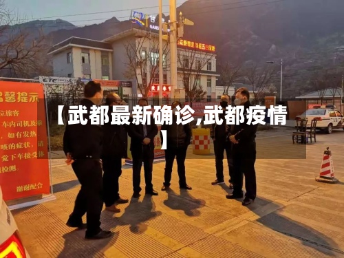 【武都最新确诊,武都疫情】-第2张图片