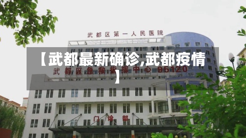 【武都最新确诊,武都疫情】-第3张图片