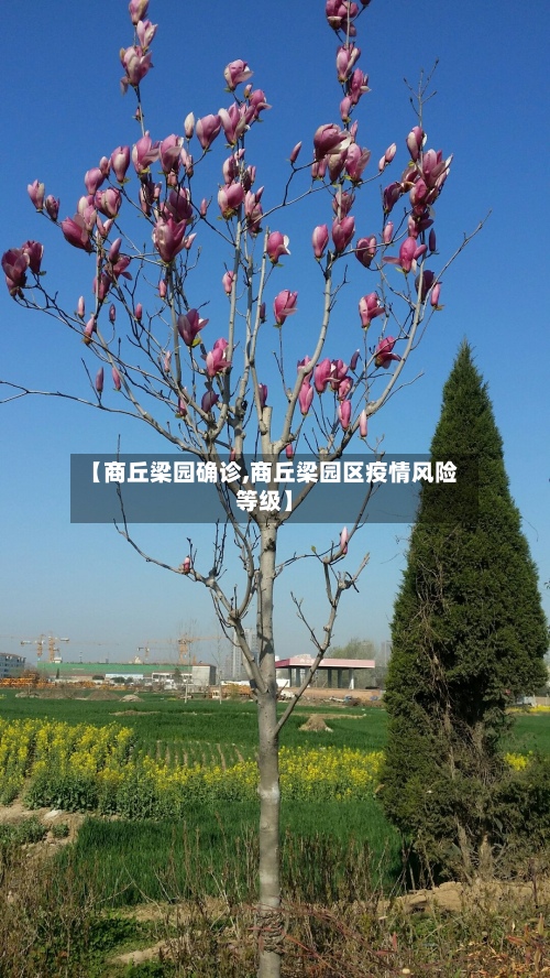 【商丘梁园确诊,商丘梁园区疫情风险等级】