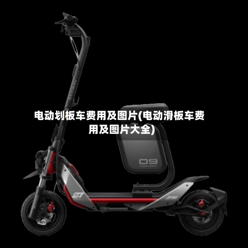 电动划板车费用及图片(电动滑板车费用及图片大全)