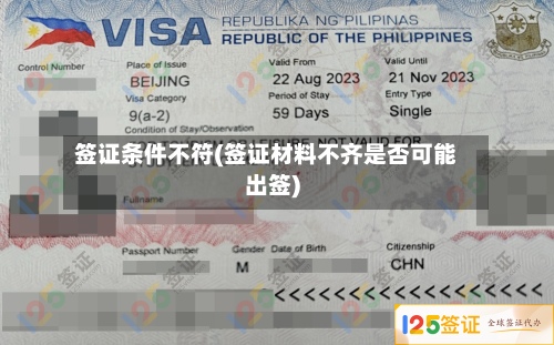 签证条件不符(签证材料不齐是否可能出签)-第3张图片