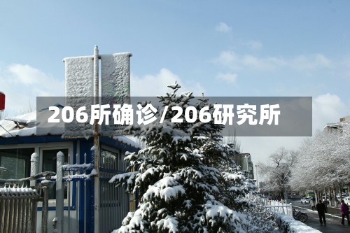 206所确诊/206研究所-第2张图片