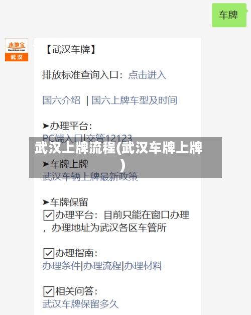 武汉上牌流程(武汉车牌上牌)-第3张图片
