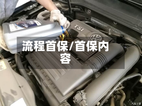 流程首保/首保内容