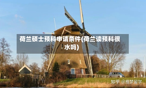 荷兰硕士预科申请条件(荷兰读预科很水吗)-第2张图片
