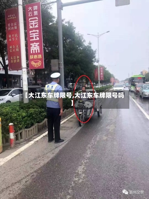 【大江东车牌限号,大江东车牌限号吗】-第3张图片
