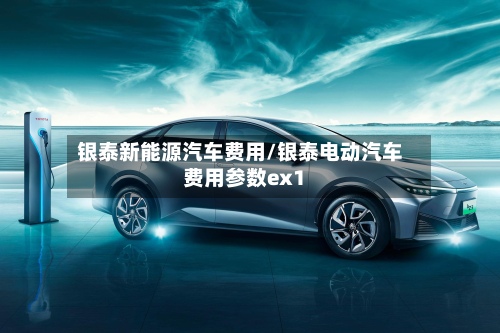 银泰新能源汽车费用/银泰电动汽车费用参数ex1
