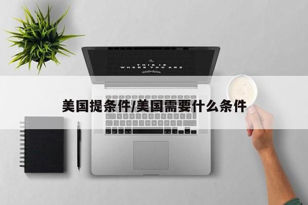 美国提条件/美国需要什么条件