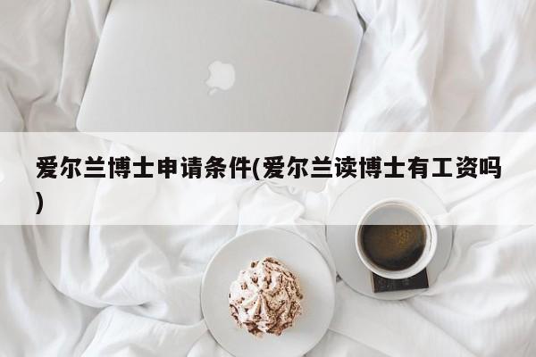 爱尔兰博士申请条件(爱尔兰读博士有工资吗)
