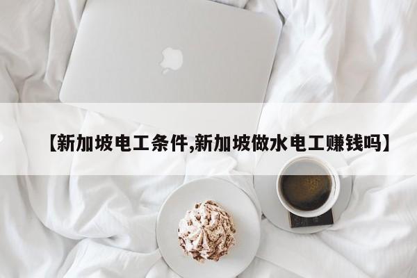 【新加坡电工条件,新加坡做水电工赚钱吗】