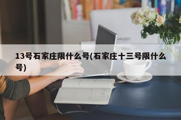 13号石家庄限什么号(石家庄十三号限什么号)